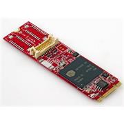 Innodisk M.2 grafický modul - HDMI nebo DVI-D